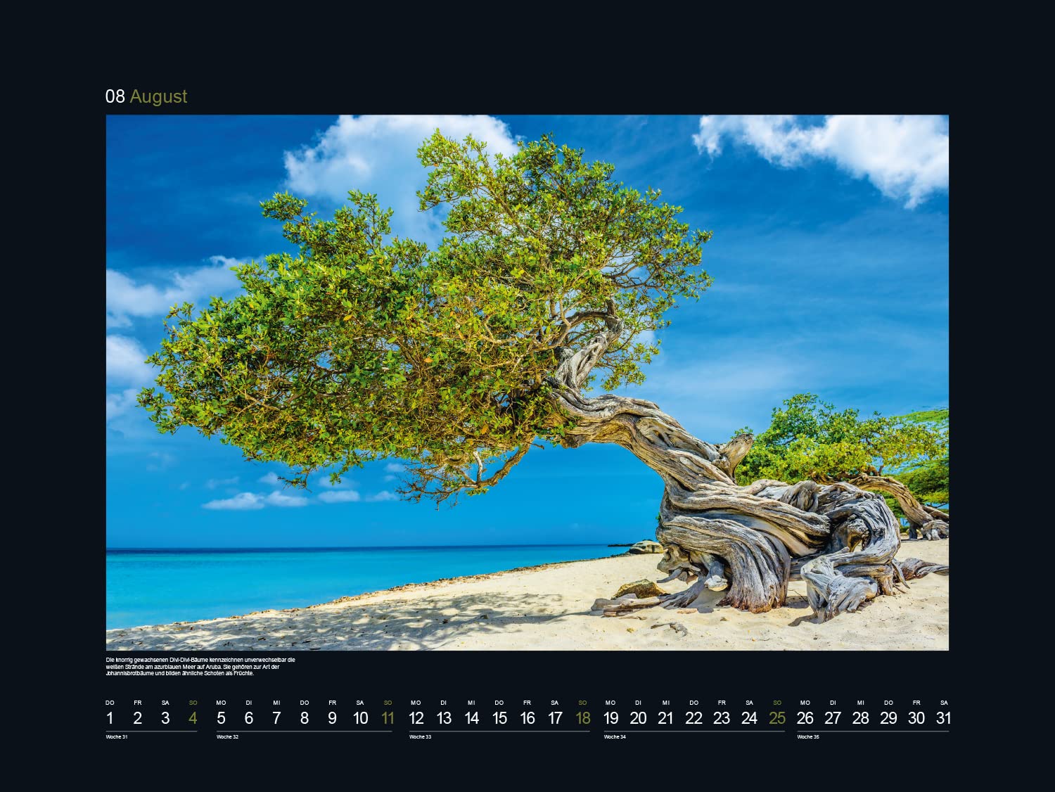 KUNTH Monats-Wandkalender Alte Baume - Sinnbild de