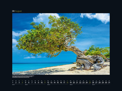 KUNTH Monats-Wandkalender Alte Baume - Sinnbild de