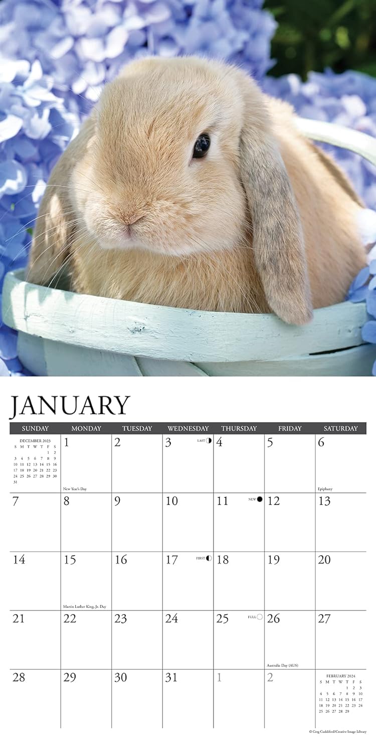 Just Bunnies 2024 12 X 12 Wall Calendar