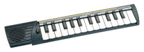 Bontempi 15 2500 - Tastiera 25 Tasti Passo Medio (Do-Do), 3 Suoni,Polifonia 2 Note, Controllo Volume