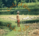 Cycle of Rice, Cycle of Life