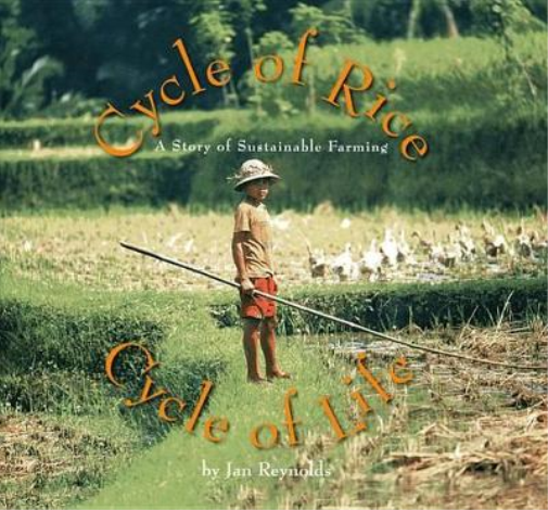 Cycle of Rice, Cycle of Life