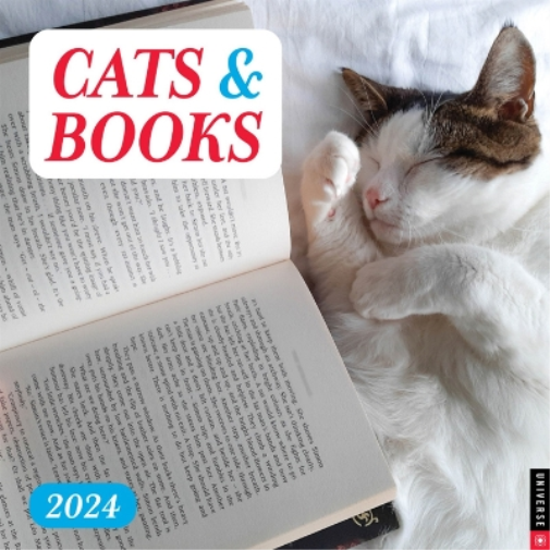 Cats & Books 2024 Wall Calendar