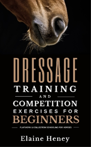 Dressage training and competition exercises for beginners