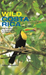 Wild Costa Rica