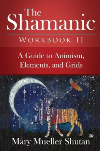 The Shamanic Workbook II