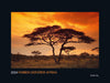 KUNTH Monats-Wandkalender Farben der Erde Afrika 2