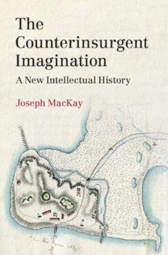 The Counterinsurgent Imagination