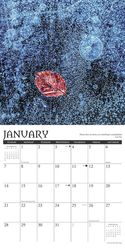 Zen 2024 12 X 12 Wall Calendar