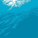 Flood