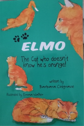 Elmo the Cat Who Doesn't Know He's Orange