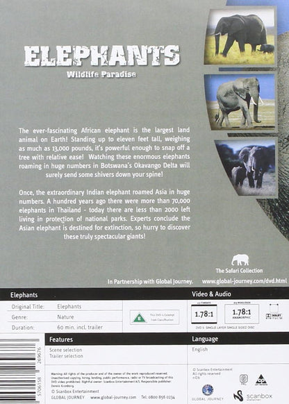 Safari: Elephants