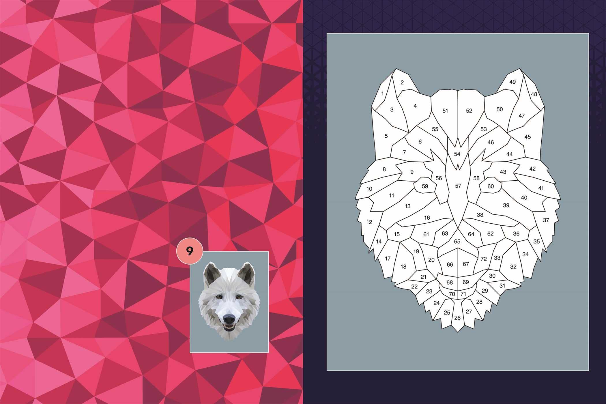 Sticker by Numbers: Animals