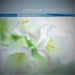 Lifescapes - The Wellness Seeker - Classical Stress Relief