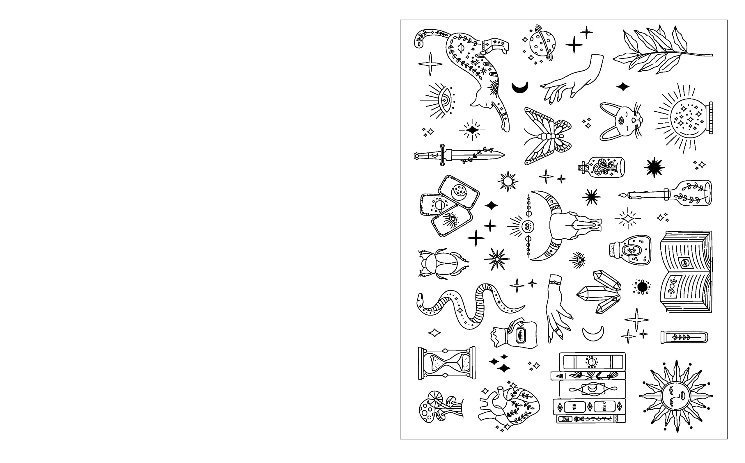 The Enchanting World Coloring Book