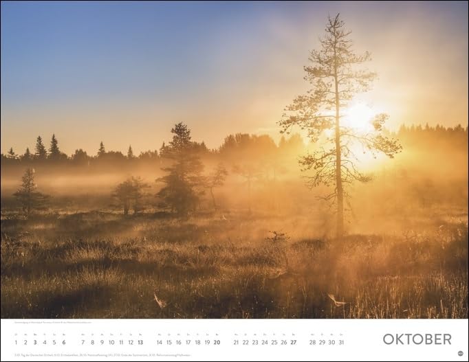 Heye Monats-Wandkalender Sonnenzauber 2024