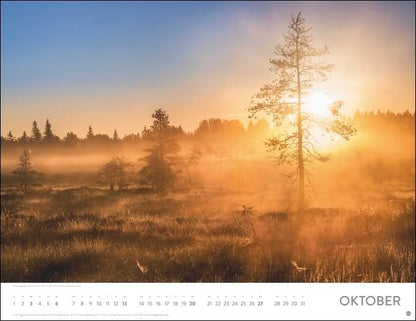 Heye Monats-Wandkalender Sonnenzauber 2024