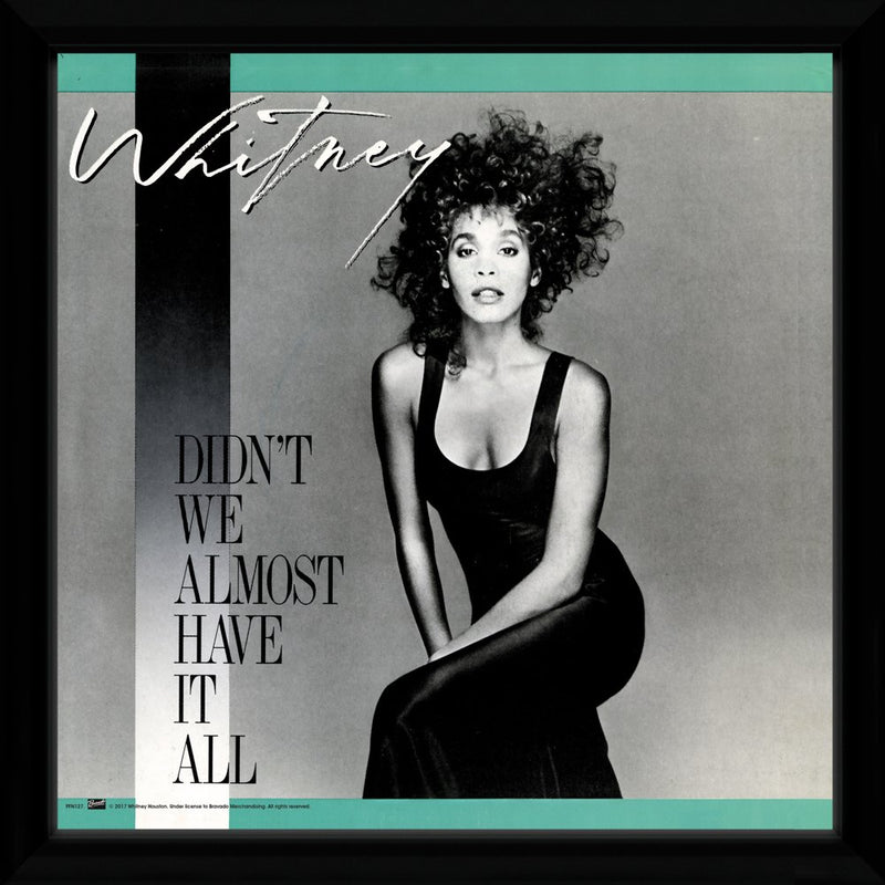 Whitney Houston: Didn`T We Almost Have It All (Lp In Cornice)