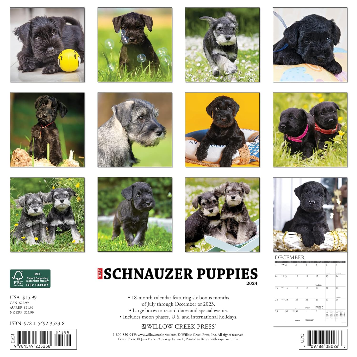Just Schnauzer Puppies 2024 12 X 12 Wall Calendar