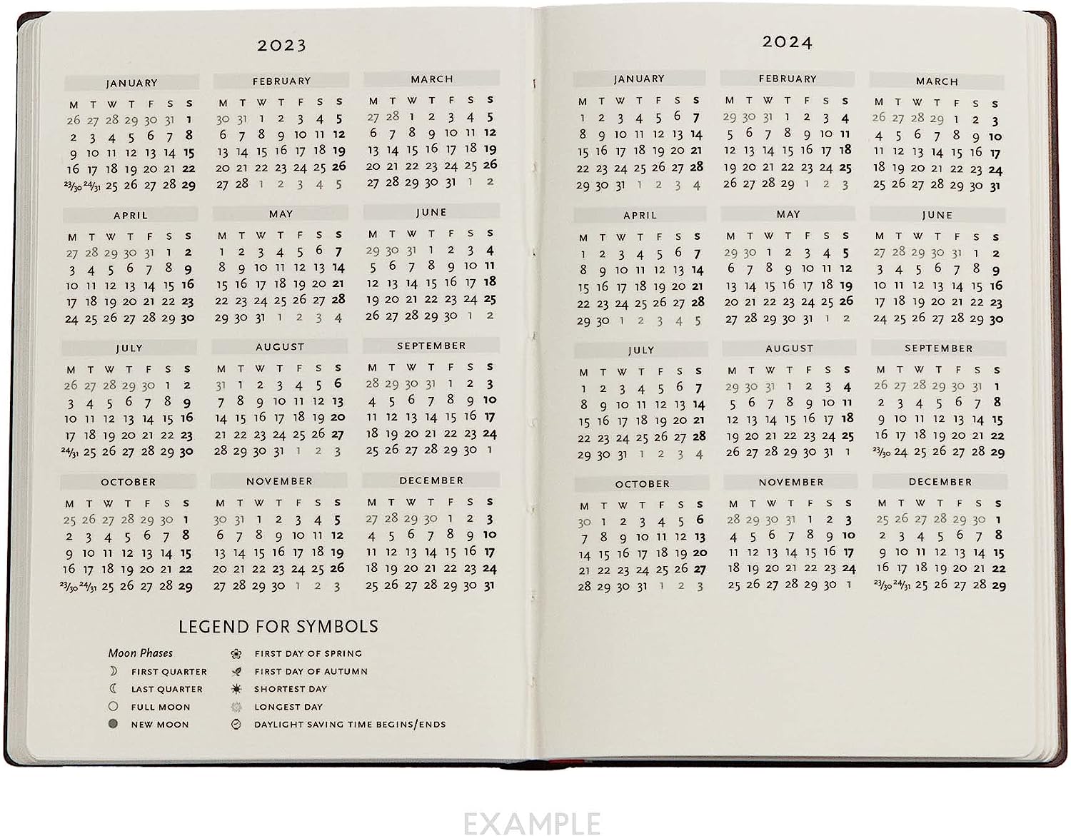 Van Gogh’s Irises (Van Gogh’s Irises) Mini 18-month Dayplanner 2024