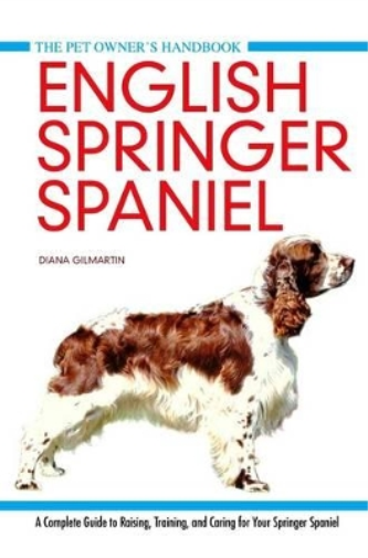 English Springer Spaniel