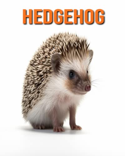 Hedgehog