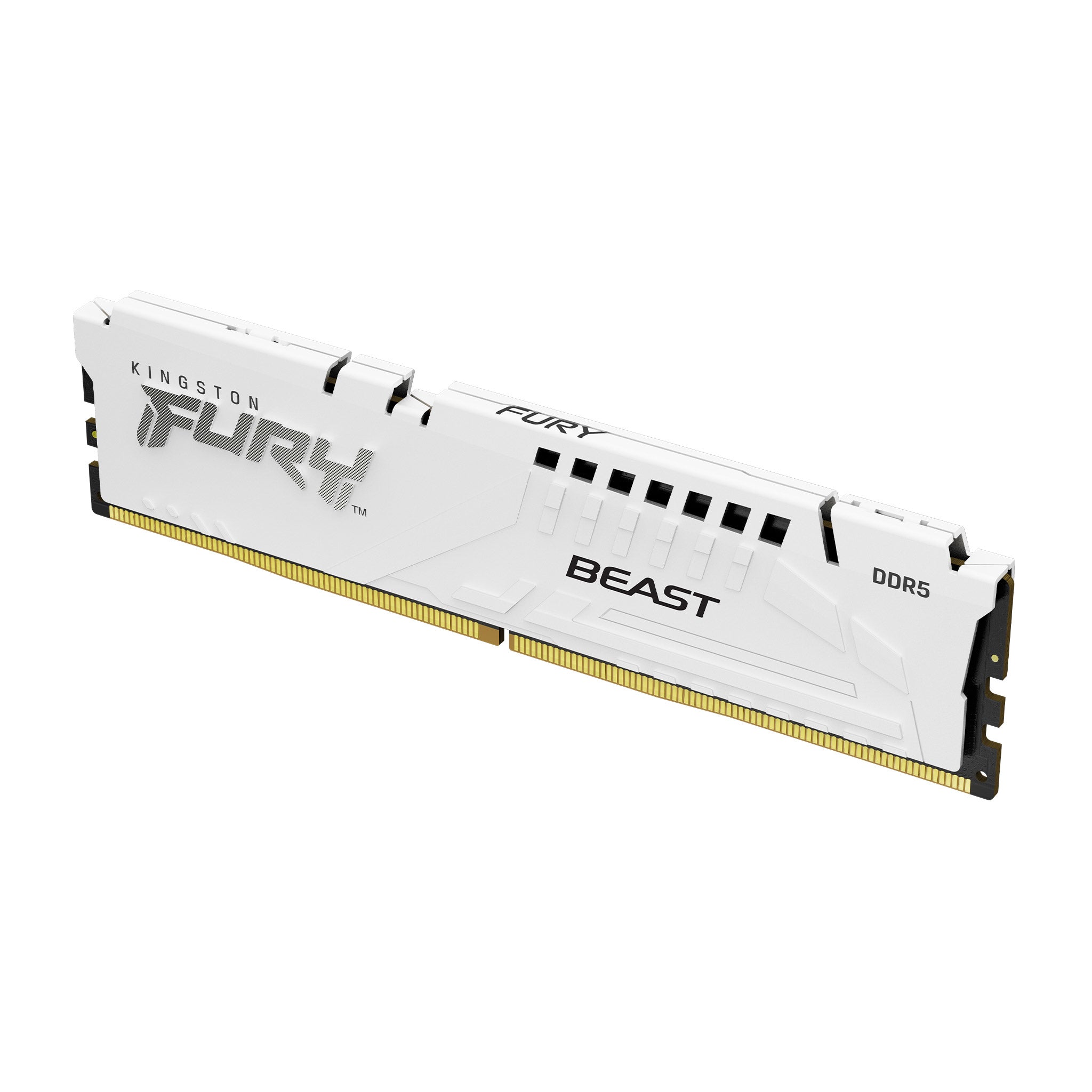 Kingston Technology FURY Beast memory module 16 GB 1 x 16 GB DDR5 5600 MHz
