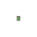 PC Game - Talk to me Neerlandais 1