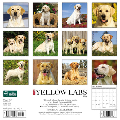Just Yellow Labs 2024 12 X 12 Wall Calendar