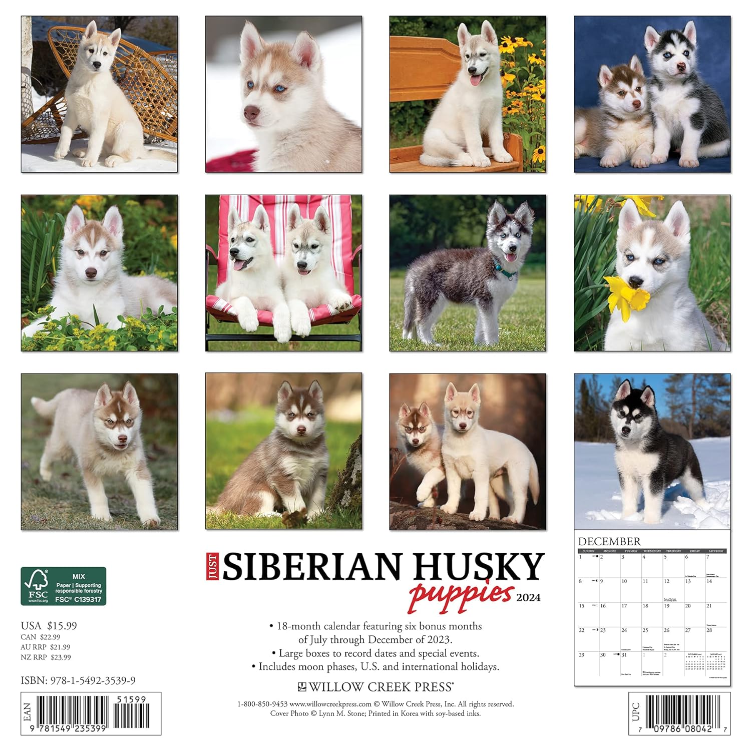 Just Siberian Husky Puppies 2024 12 X 12 Wall Calendar