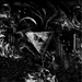 ADC (MARBLED VINYL)