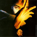 terence trent d`arbys neither fish nor flesh