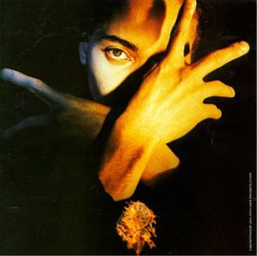 terence trent d`arbys neither fish nor flesh
