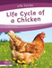 Life Cycles: Life Cycle of a Chicken