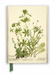 RBGE: Charlotte Cowan Pearson: Stitchworts, Woodruff and Pepperwort (Foiled Journal)