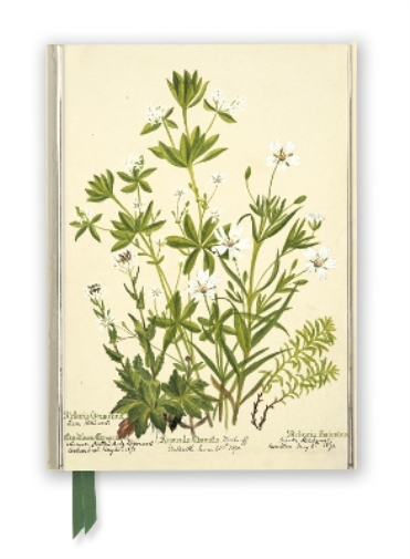 RBGE: Charlotte Cowan Pearson: Stitchworts, Woodruff and Pepperwort (Foiled Journal)