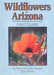 Wildflowers of Arizona Field Guide