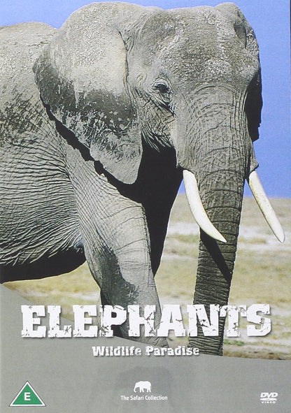 Safari: Elephants
