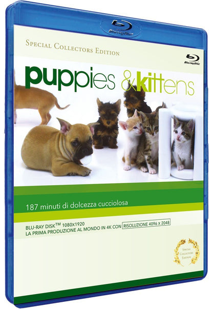 Puppies & Kittens