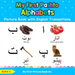 My First Pashto Alphabets Picture Book