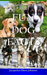 Fun Dog Facts for Kids 9-12