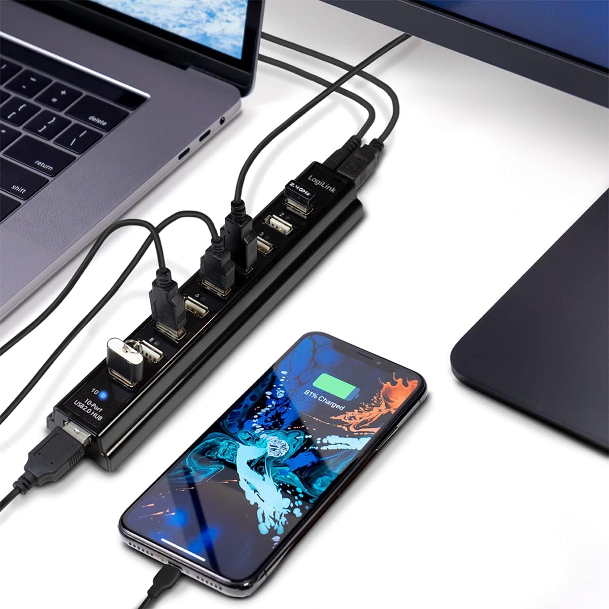 LogiLink 10 Port USB 2.0 Hub, UA0096