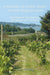 A Vineyard in North Wales? It's Not Warm Enough!