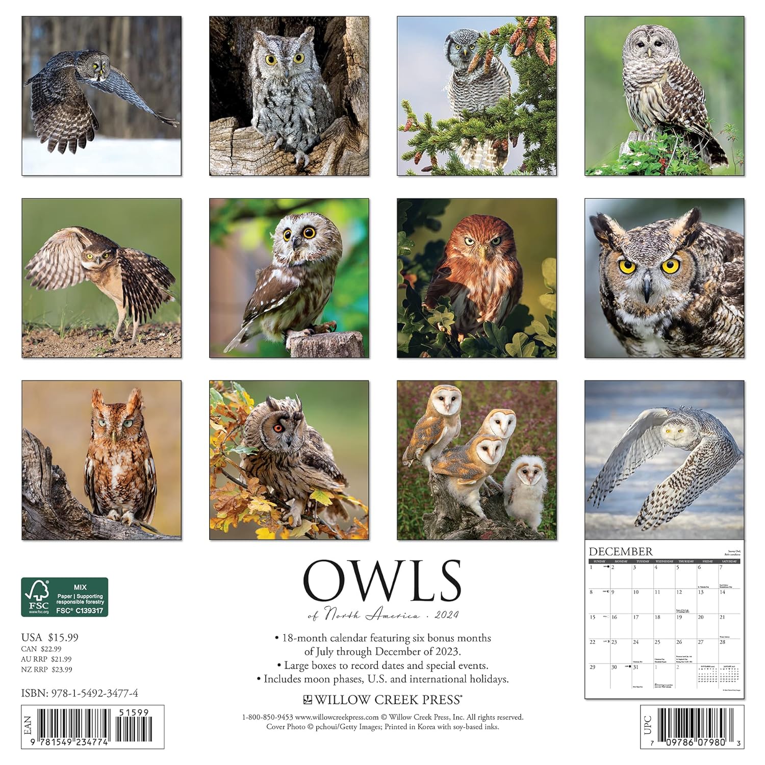 Owls 2024 12 X 12 Wall Calendar