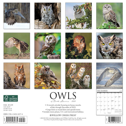 Owls 2024 12 X 12 Wall Calendar