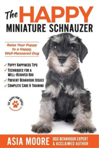 The Happy Miniature Schnauzer