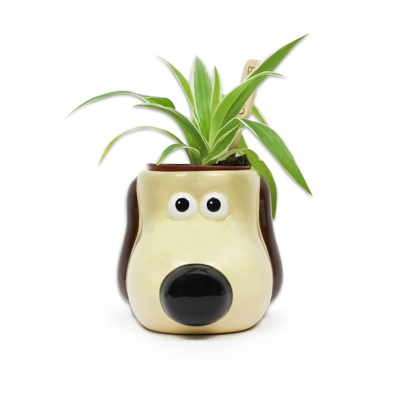 Wallace & Gromit: Half Moon Bay - Gromit (Plant Pot / Vaso Da Fiori)
