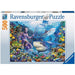 King Of The Sea 500Pc