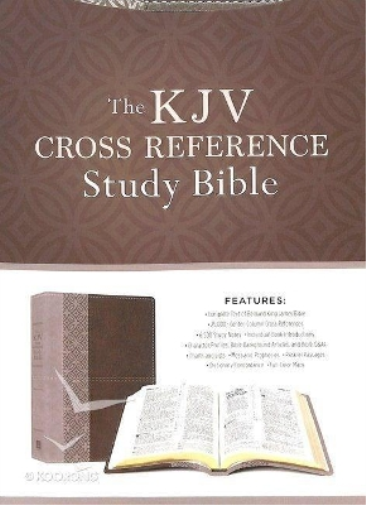 KJV Cross Reference Study Bible [Stone]