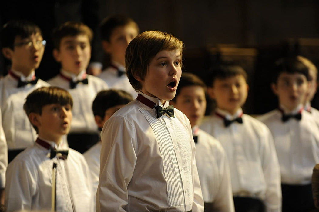 Der Chor - Stimmen des Herzens